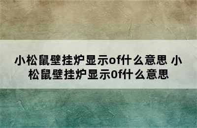 小松鼠壁挂炉显示of什么意思 小松鼠壁挂炉显示0f什么意思